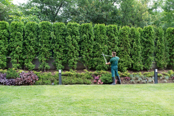 Best Tree and Shrub Care  in Lake Meade, PA